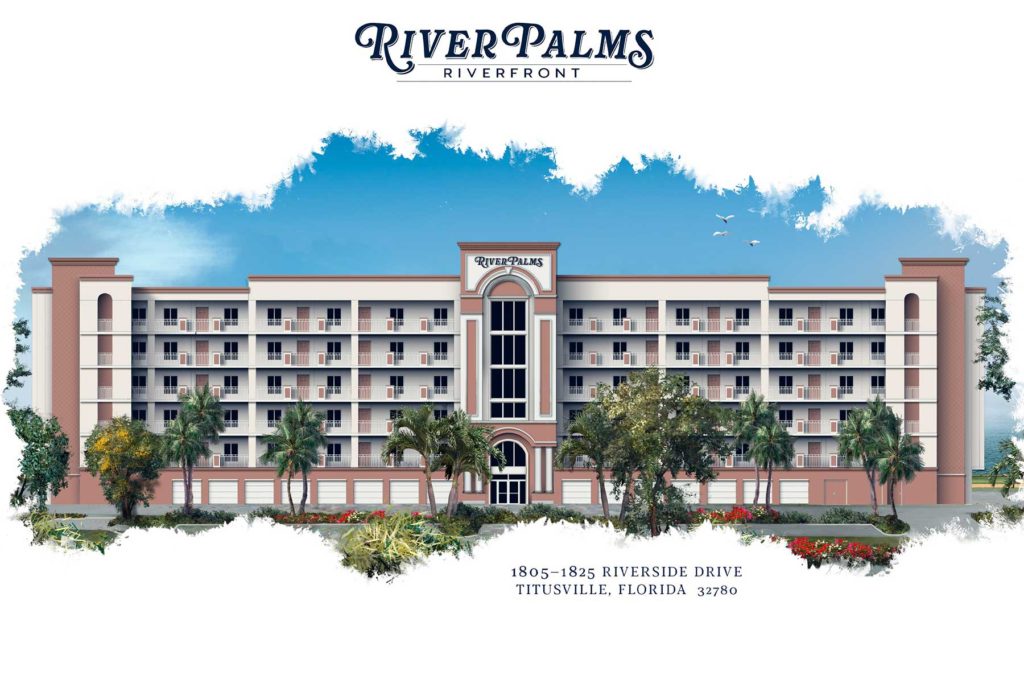 river palms drawing